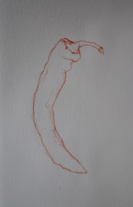 C Chili Pepper Sketch