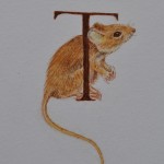 Tiny Watercolor Mouse