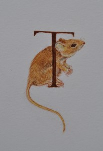 Tiny Watercolor Mouse