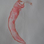 C Red Chili Pepper Watercolor
