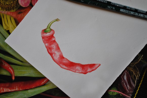 Water Color Red Chili Pepper